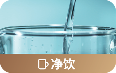 MDS9500型双直饮清水机【家用清水器十大排行榜|家用清水机哪个品牌好|清水机家庭用|清水机滤芯在哪买】伟易博
