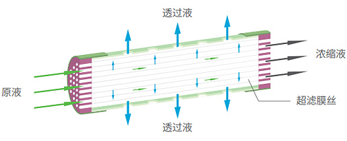 伟易博(中国区)官方网站